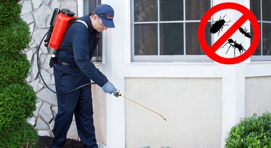 Evka 2 Karınca İlaçlama böcek ilaçlama ve haşere kontrolü — ilaclama-tr.com